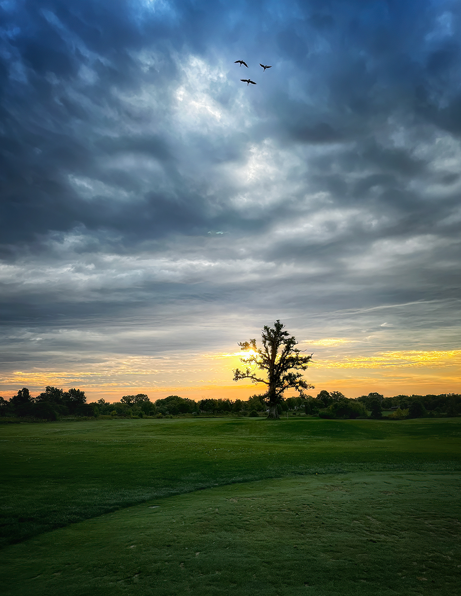 Bucolic sunrise