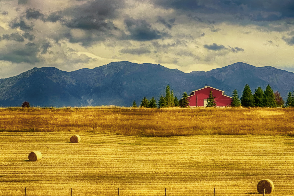 fall bales