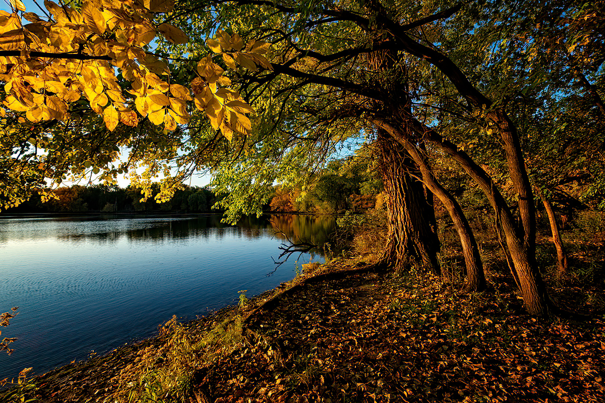 A Quiet Fall Morning