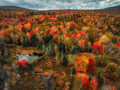 Hillside and Pond, Vermont 2023