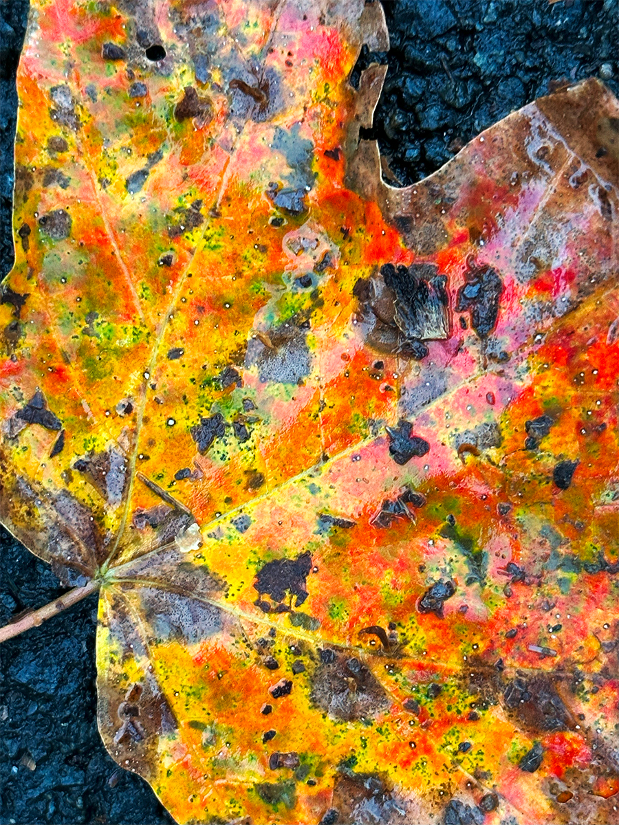 A Season Ready For Its Closeup