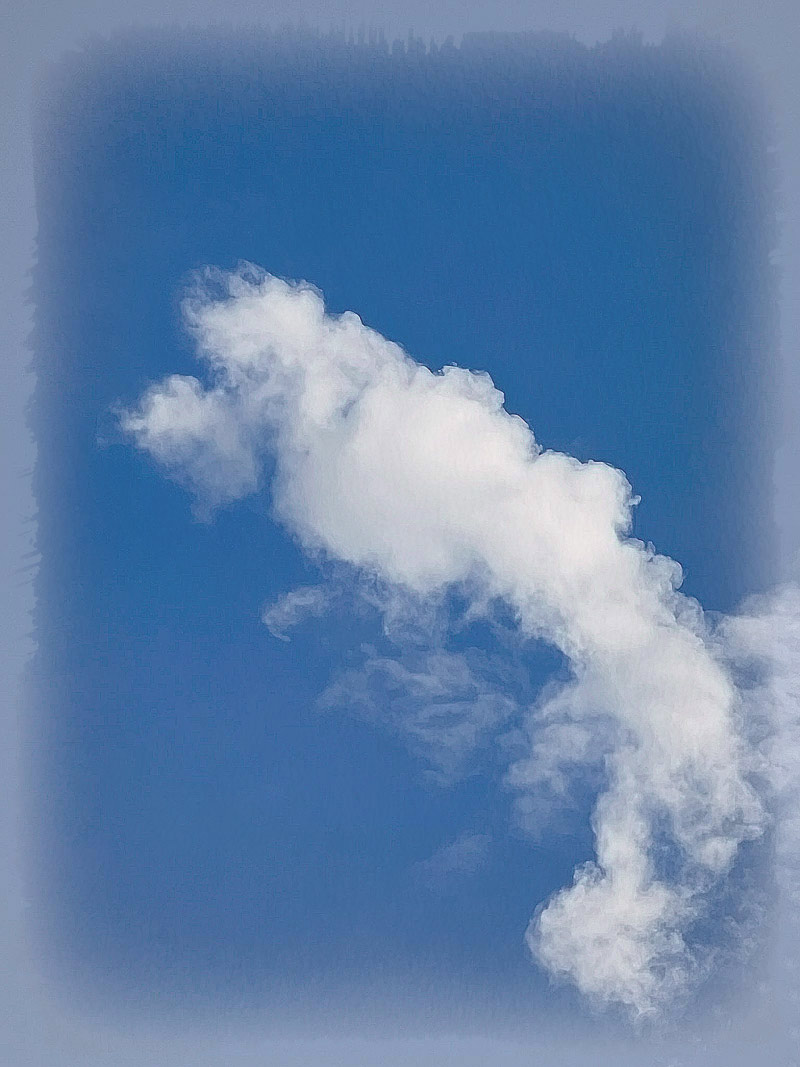 Fifi - the poodle cloud