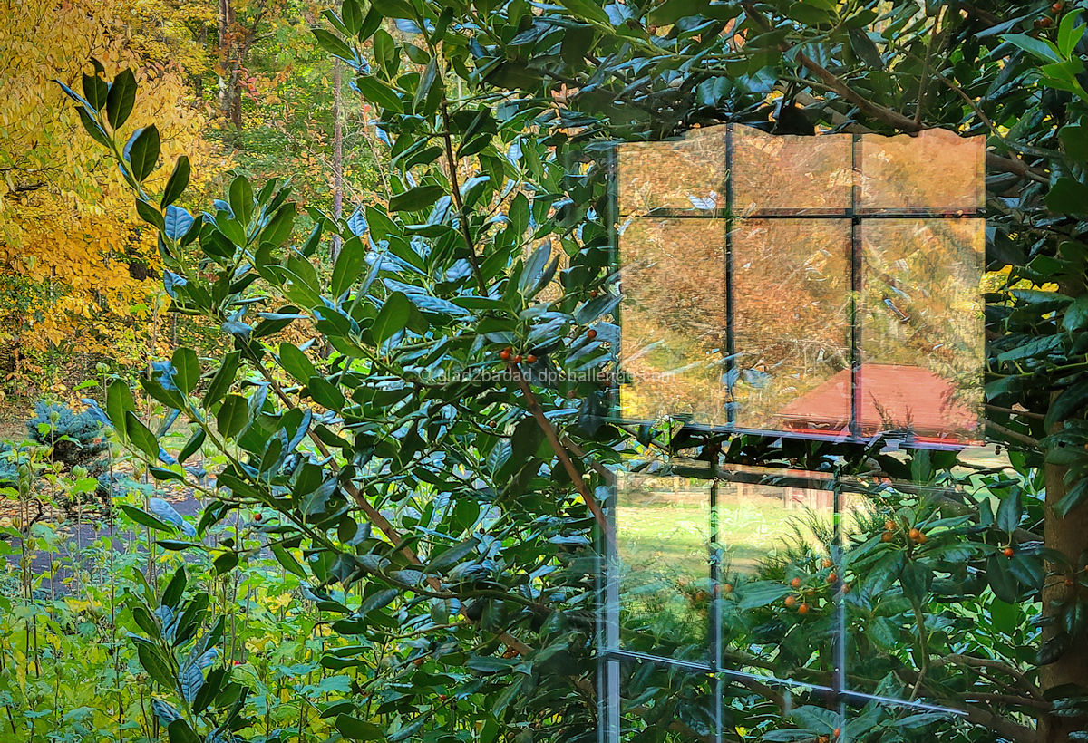 reflect on your reflections<br>see me before you<br>behold the beauty of sight