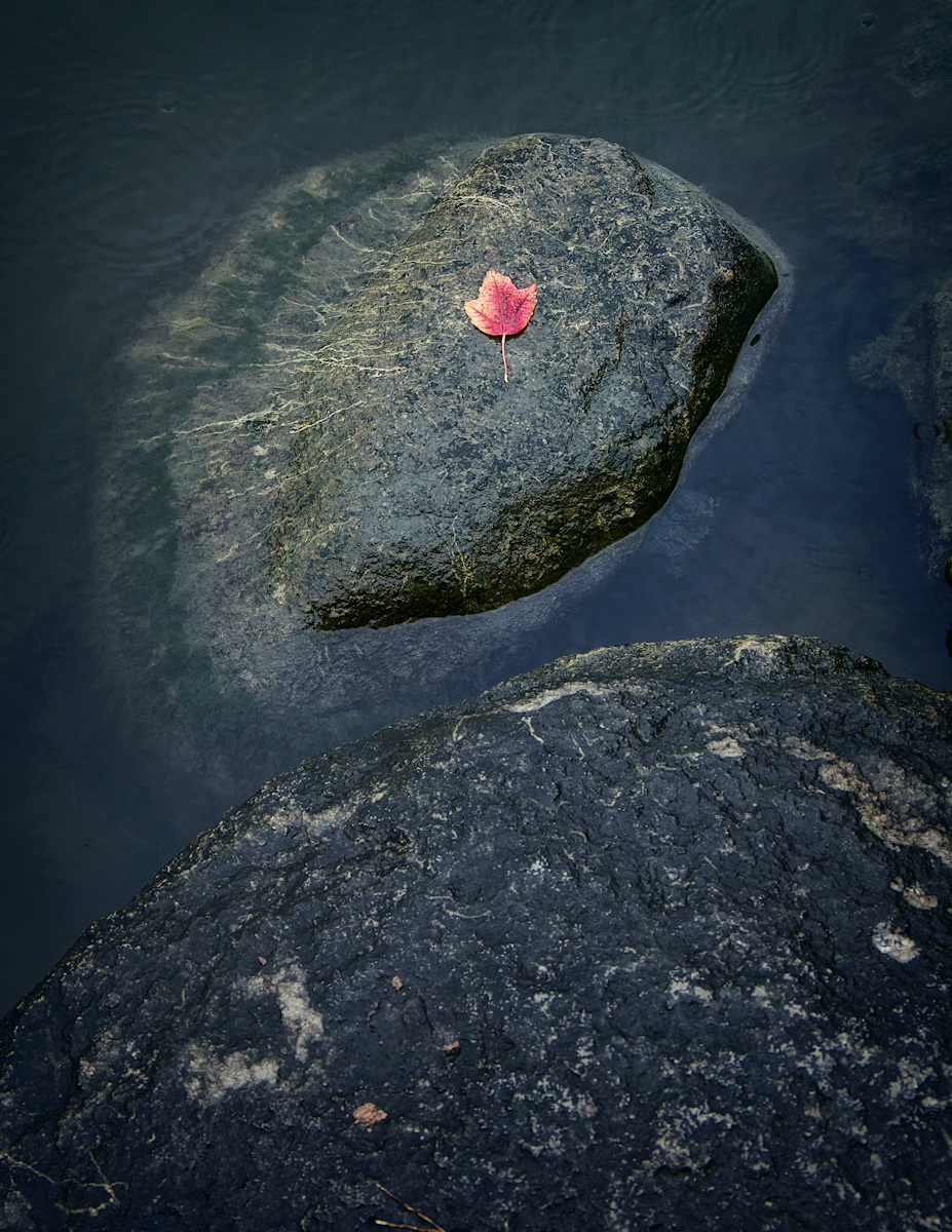 A poet I'm not/I just like this photograph/Typical fall scene