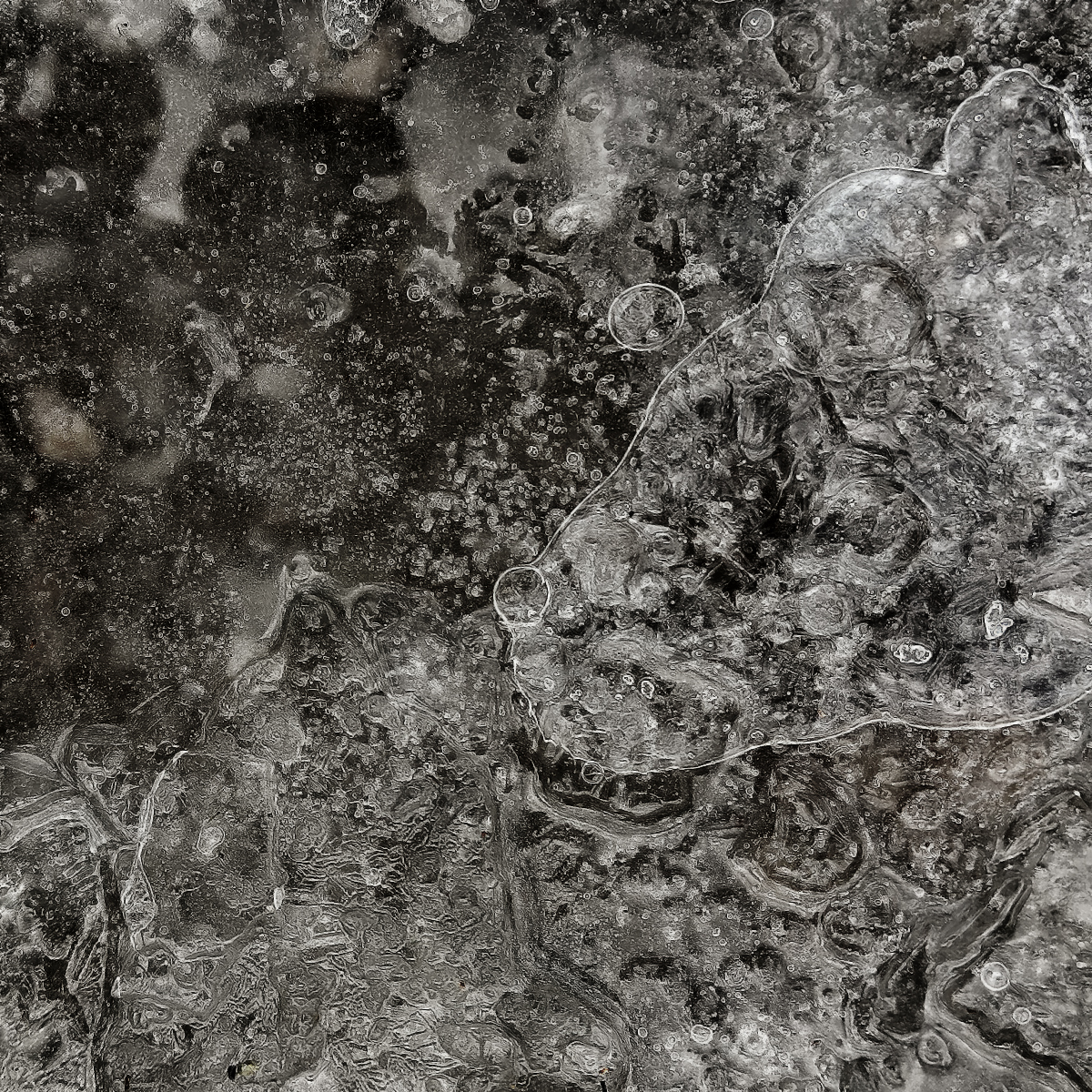 winter ice / cold evil waits Cruel! / pray  for spring