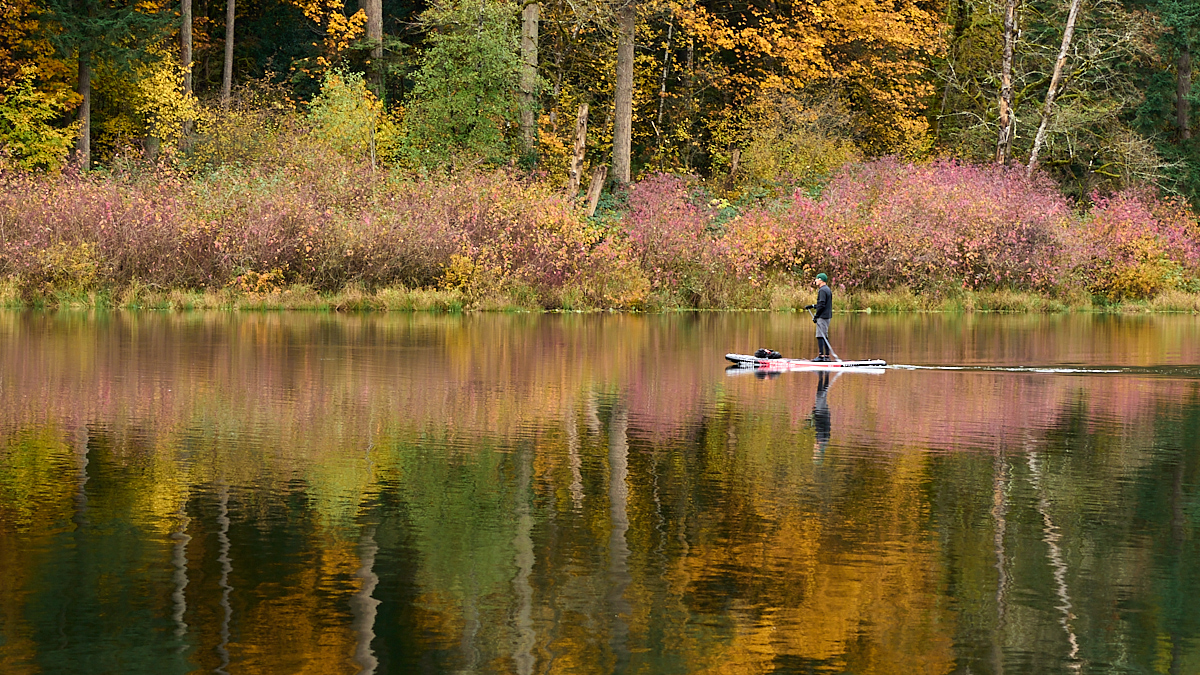 Floating in Autumn