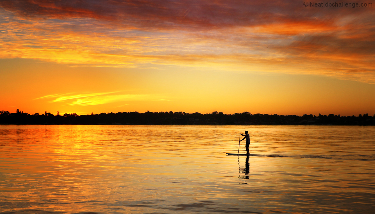The lone paddle boarder