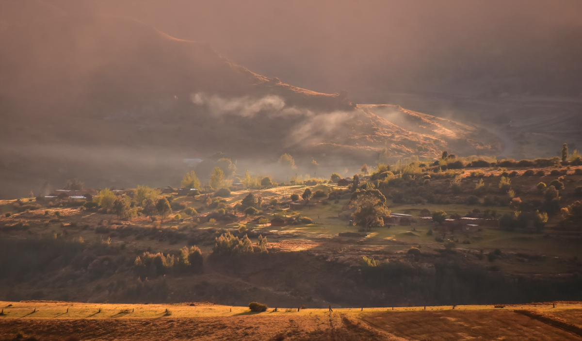 Misty morning