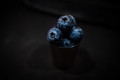 A Study in Blue