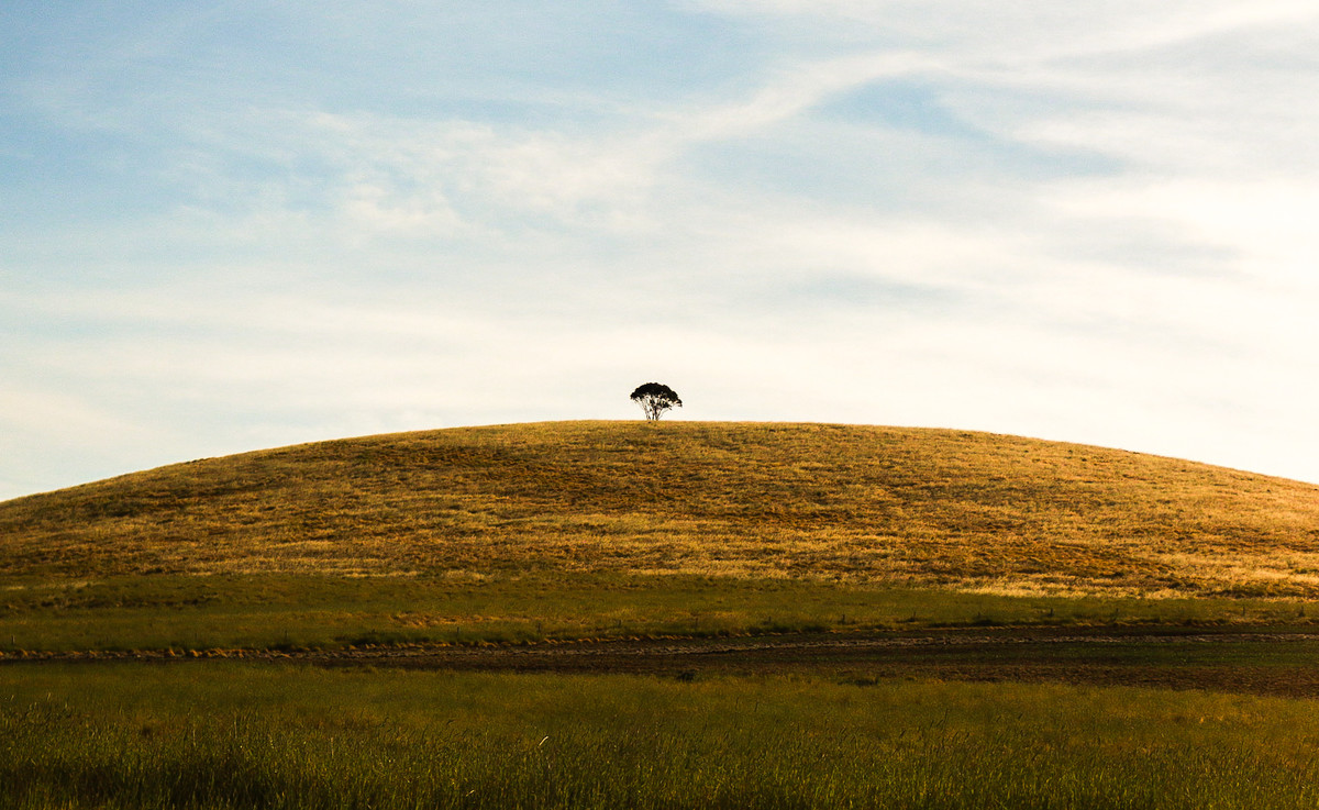High On The Hill