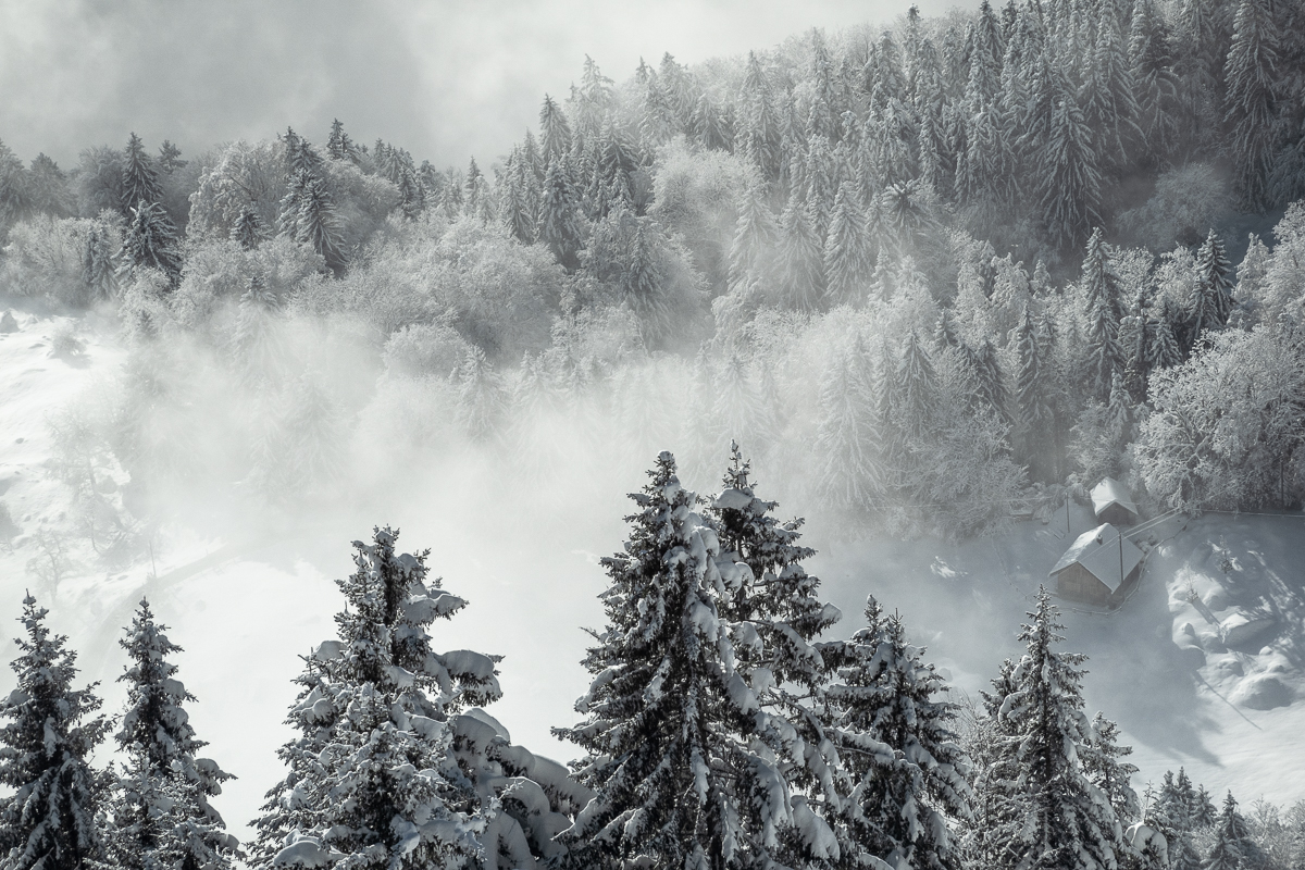 Snow in Winter