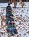 Cookie Sheet Sledding