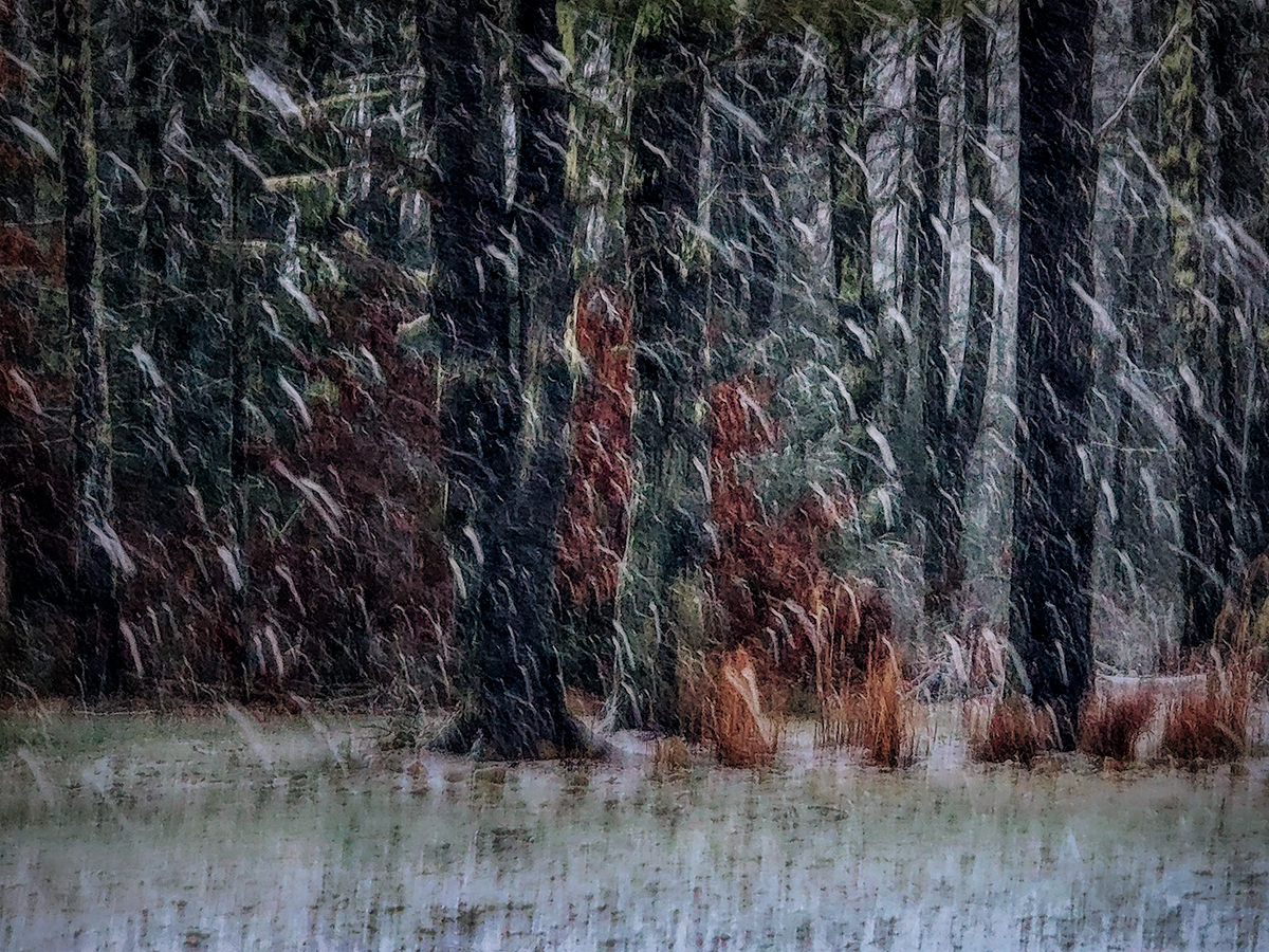 Snowfall on a Winter Evening