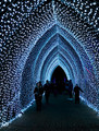 Holiday Cathedral of Light