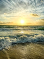 Morning Light 
