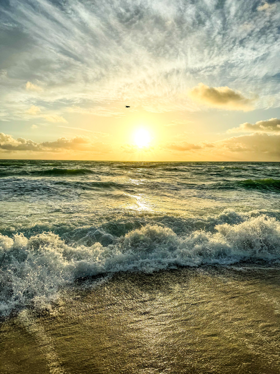 Morning Light 