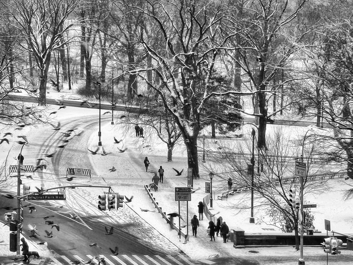 First snow