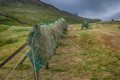 Drying the grass