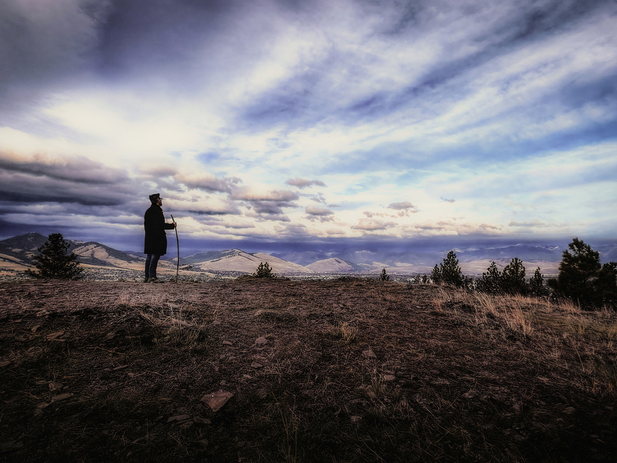 The Traveler