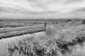 Landscape with bike