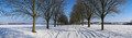 Wide perspective