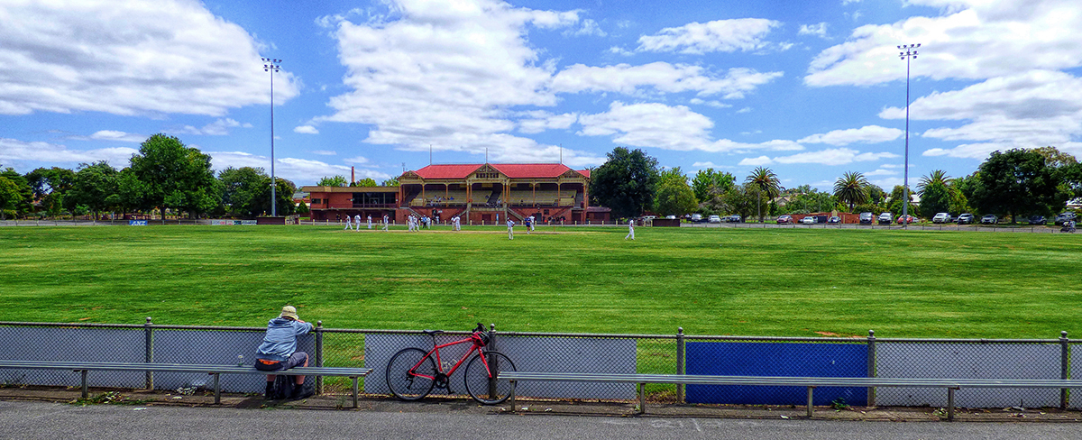 Watching the Cricket