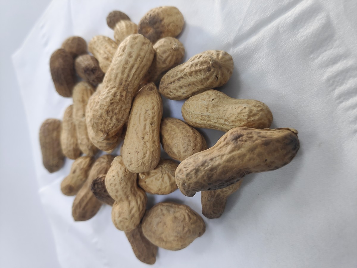 Groundnuts