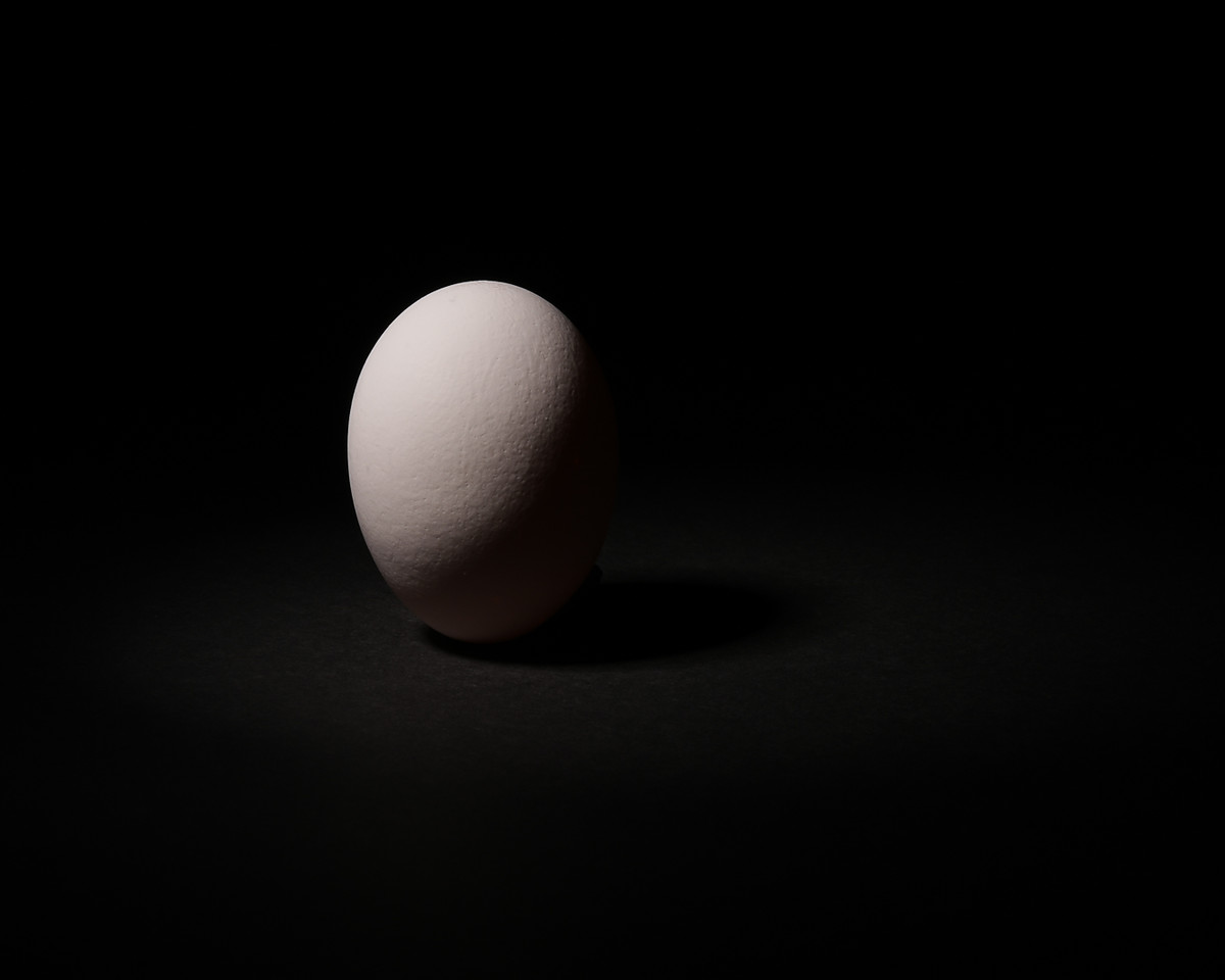 Lighted side of an egg