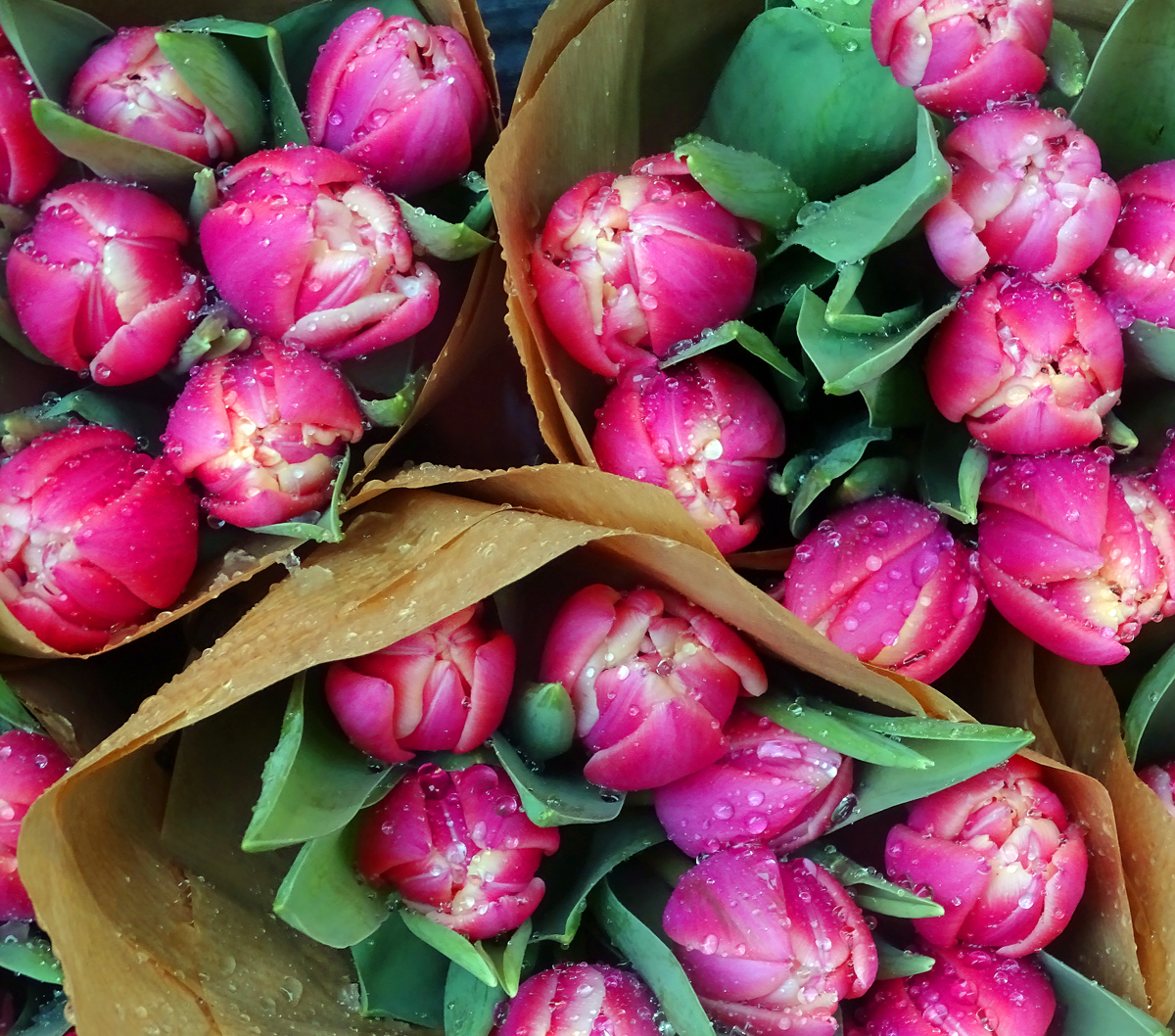 Three bouquets of tulips 