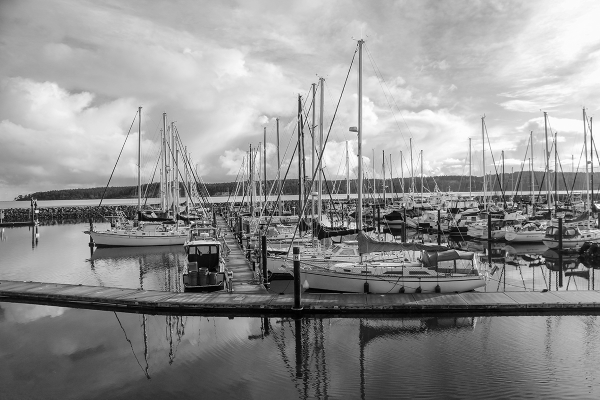 Marina 