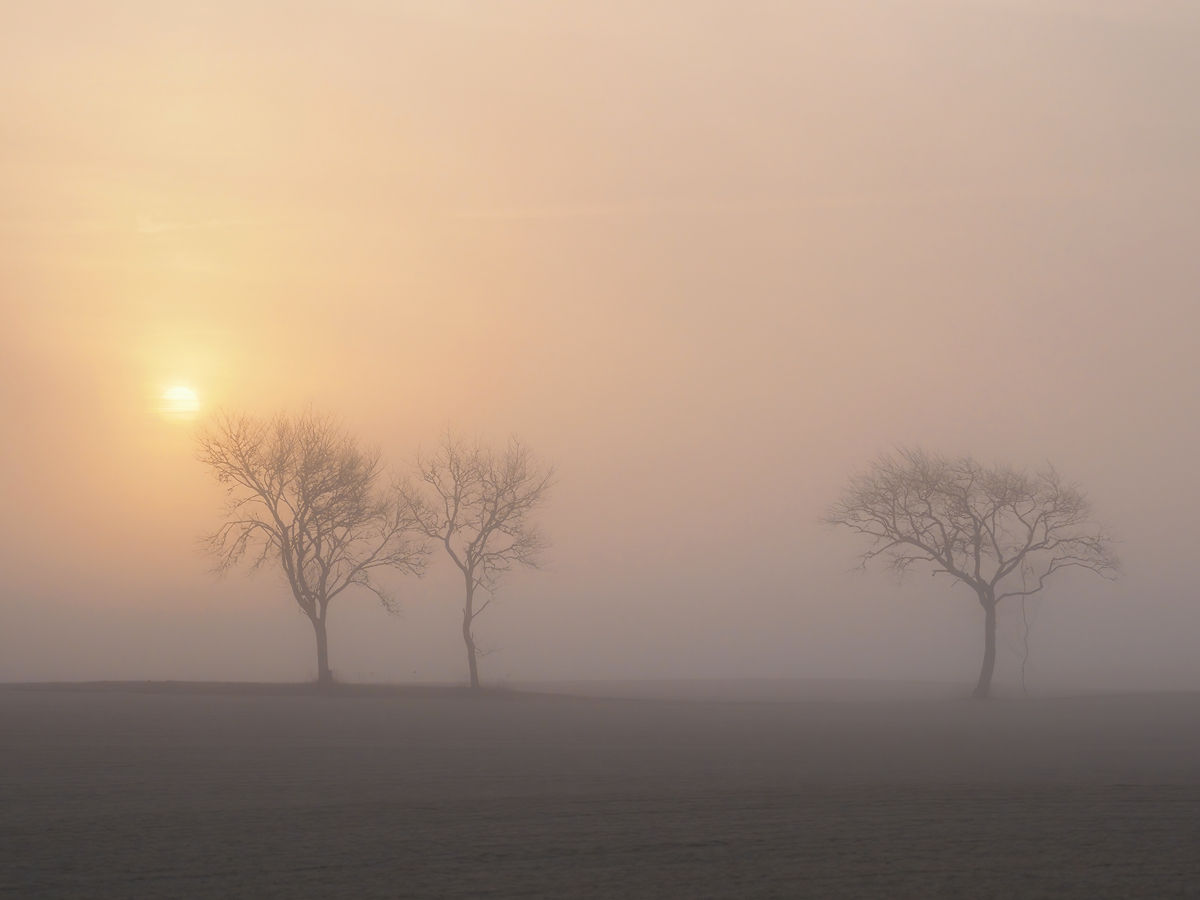 Foggy morning