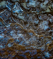 Midwinter Thaw