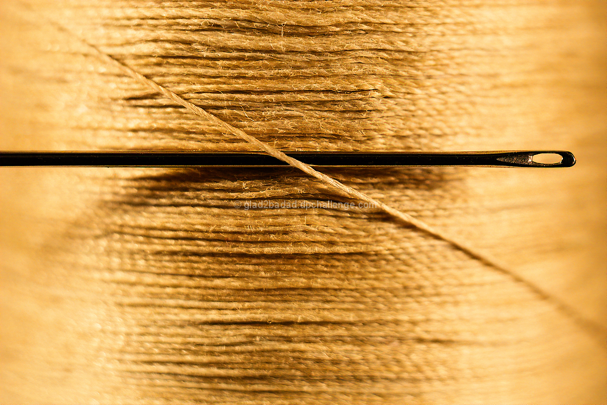 Needle & Thread