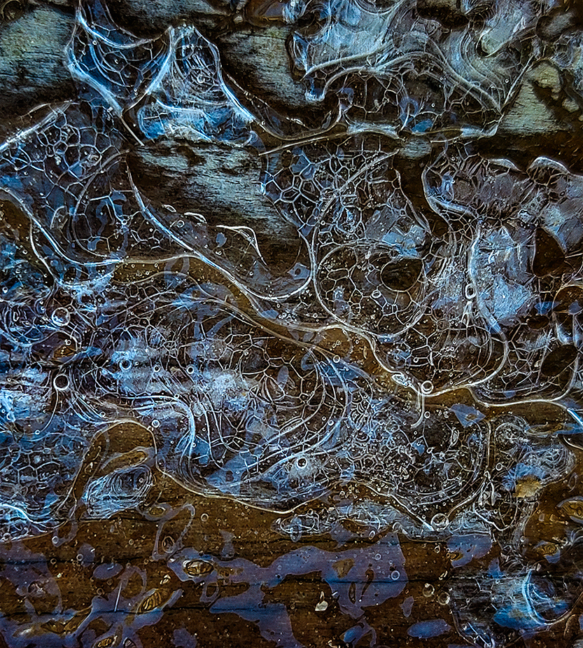 Midwinter Thaw