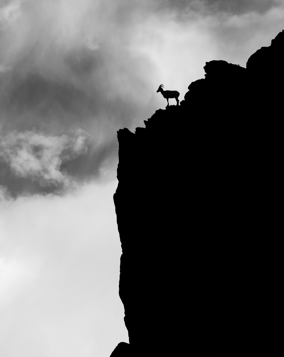 King of the Mountain