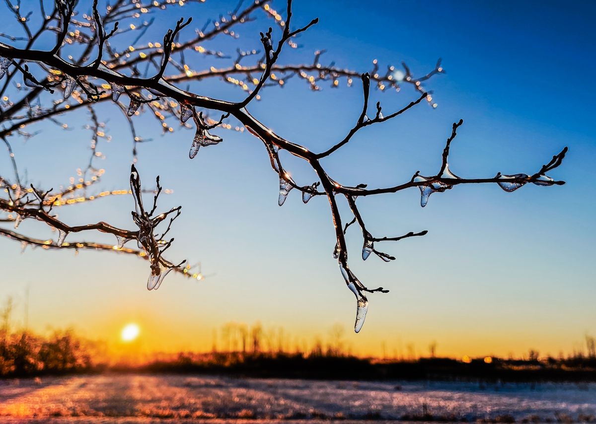 winter jewels