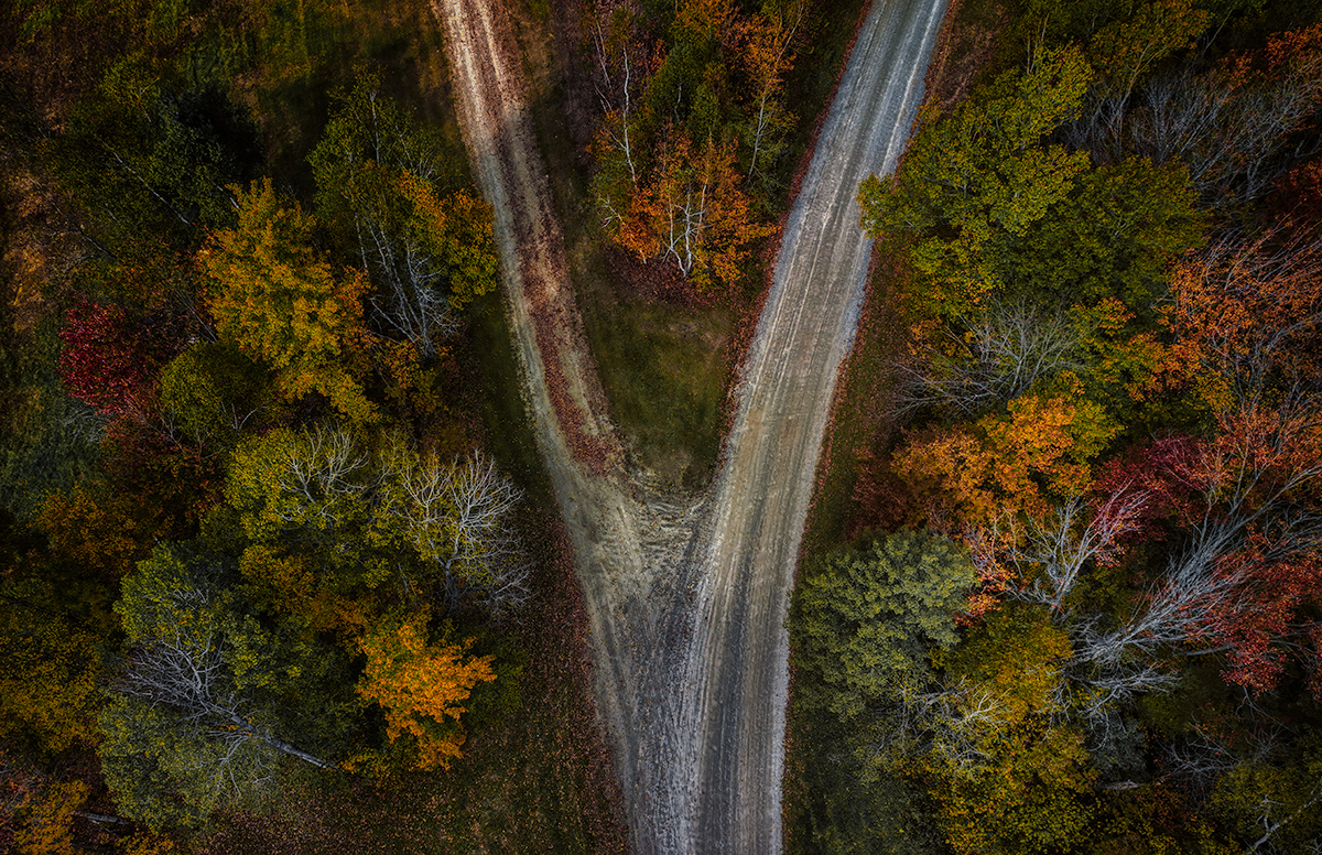 The Road Not Taken