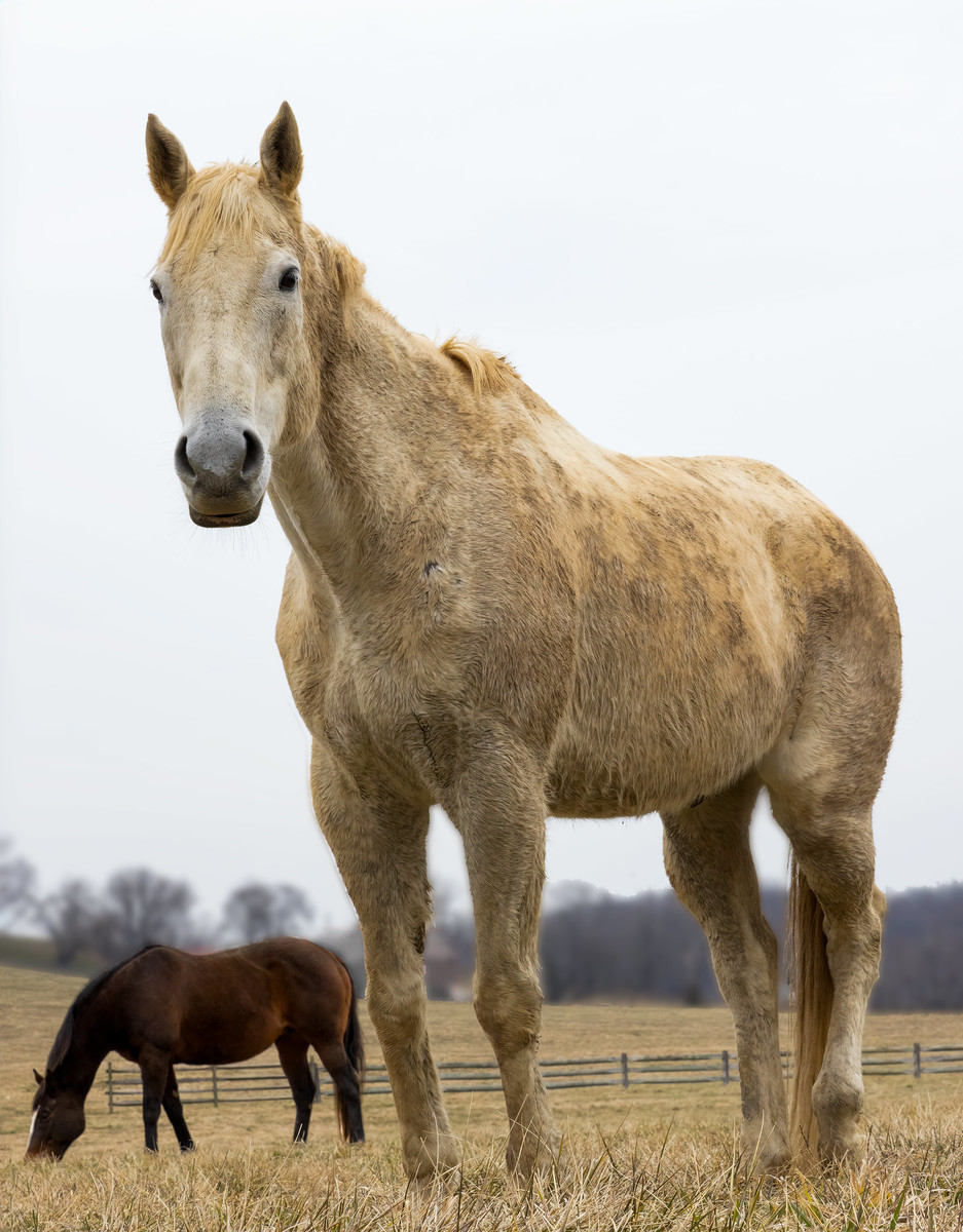 Big And Little