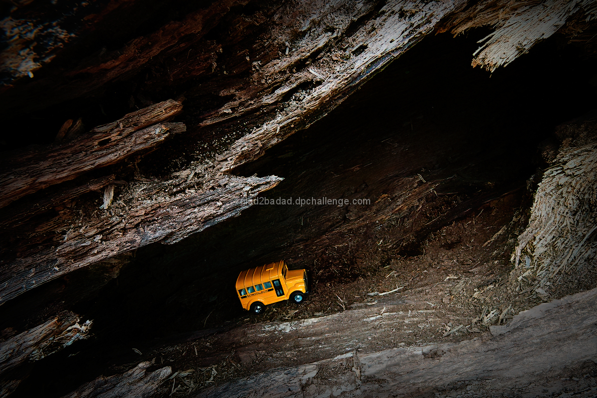 The Magic School Bus :: Next Adventure