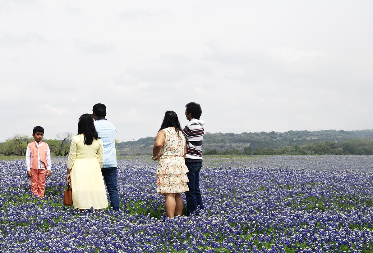 the flowers that bloom in the spring