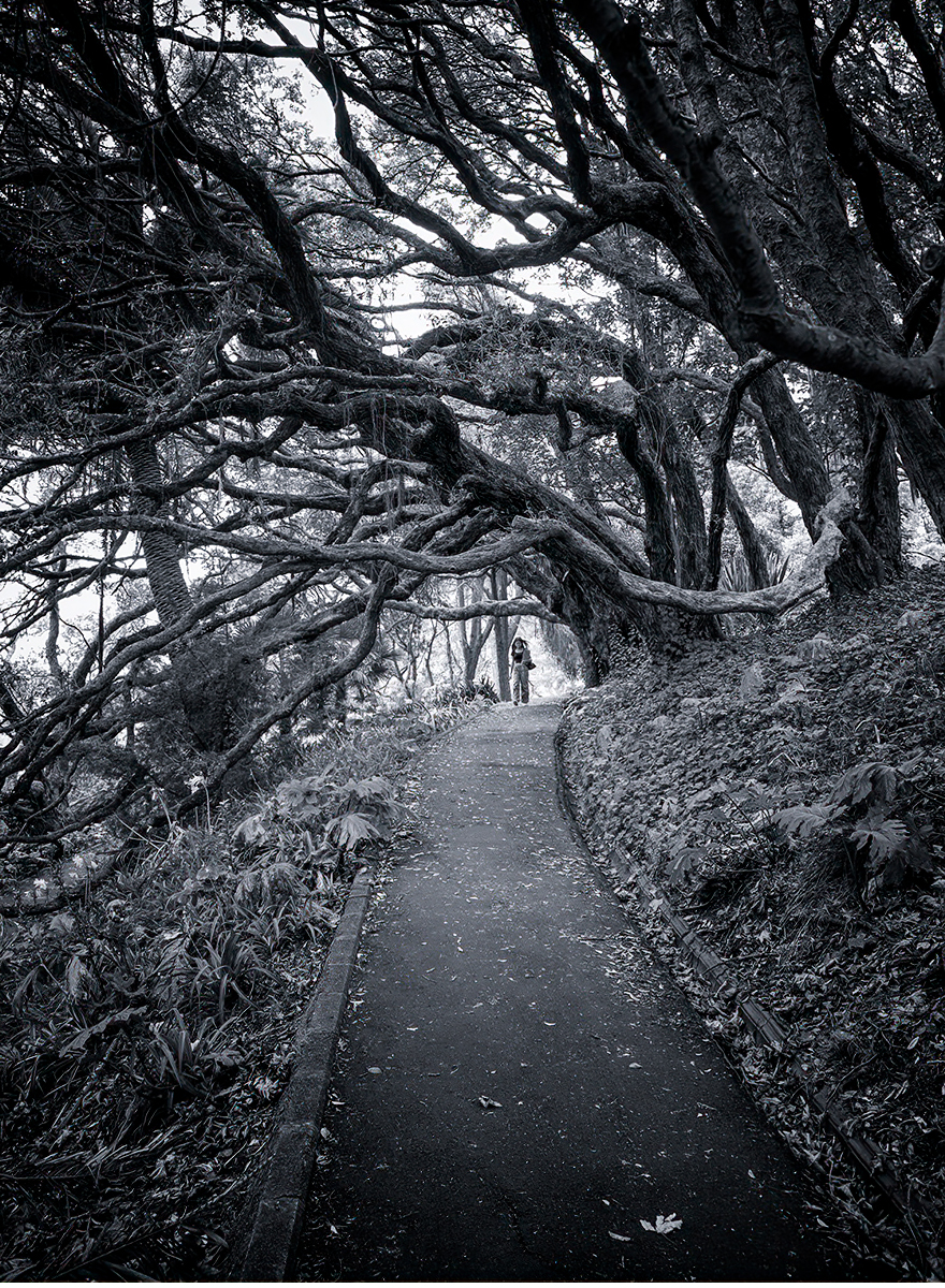Along the Pathway