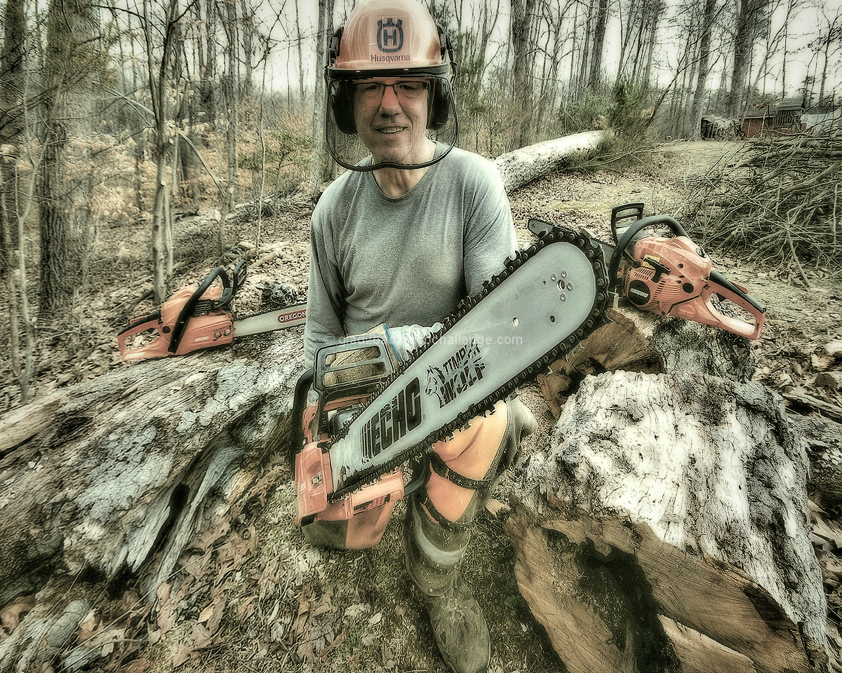 Big Bad Timberwolf