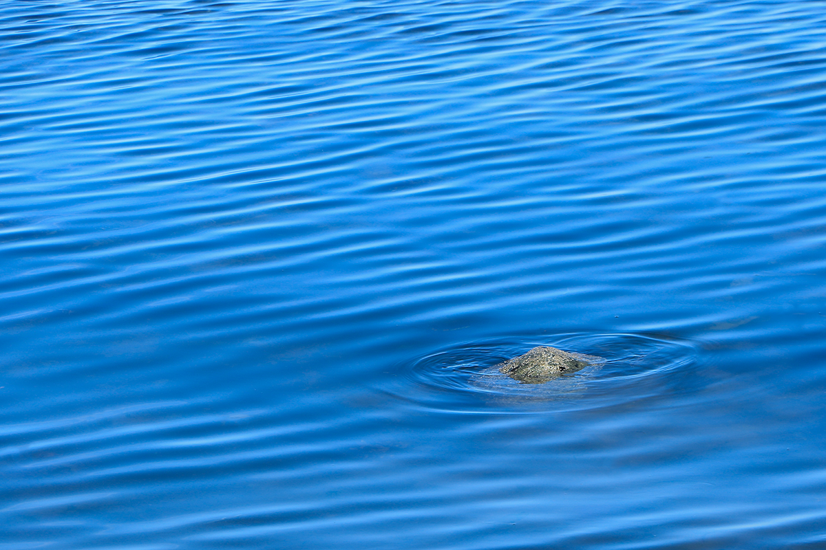 Ripples
