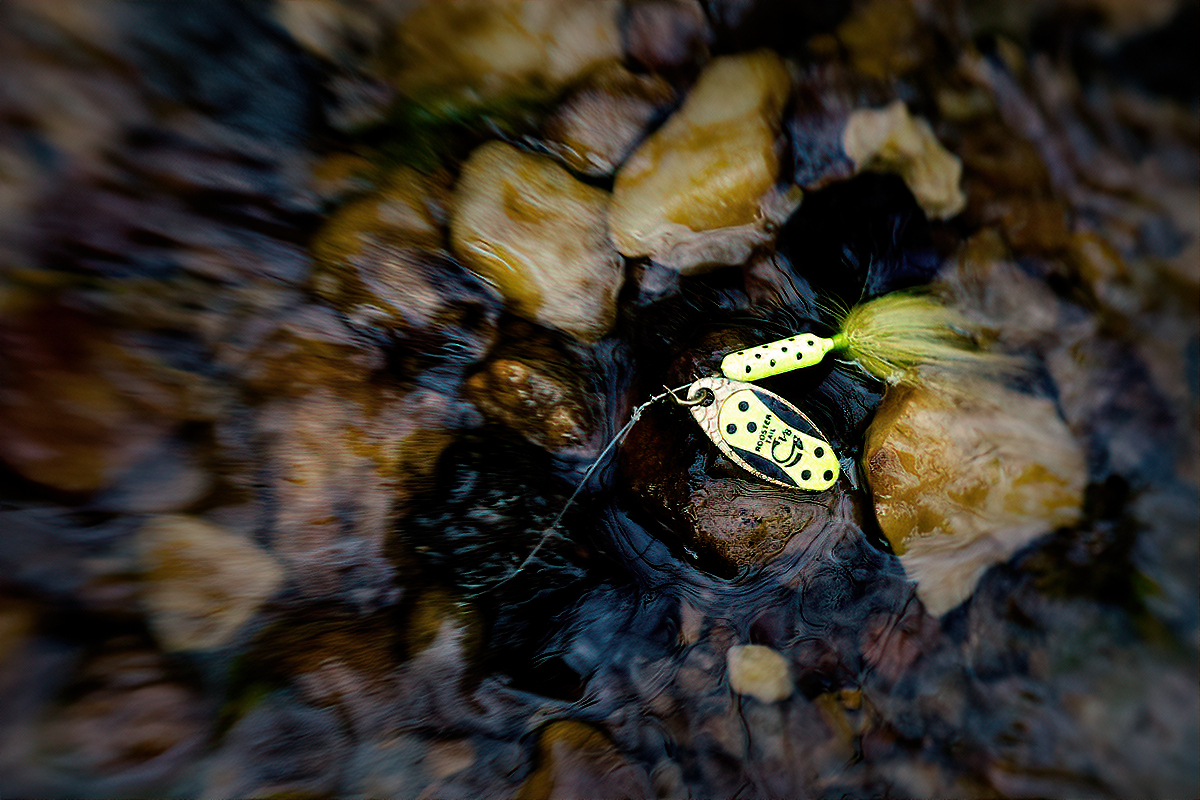 Rooster Tail
