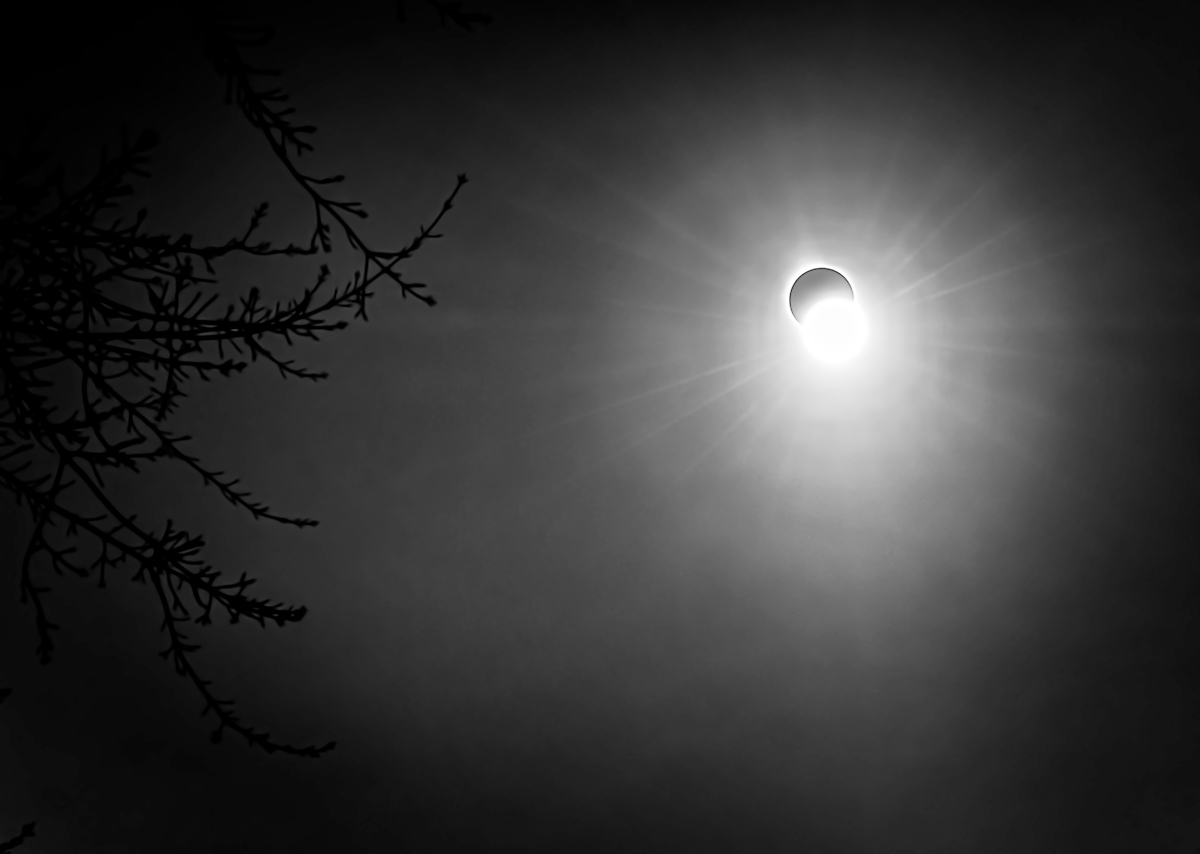 earthly vision