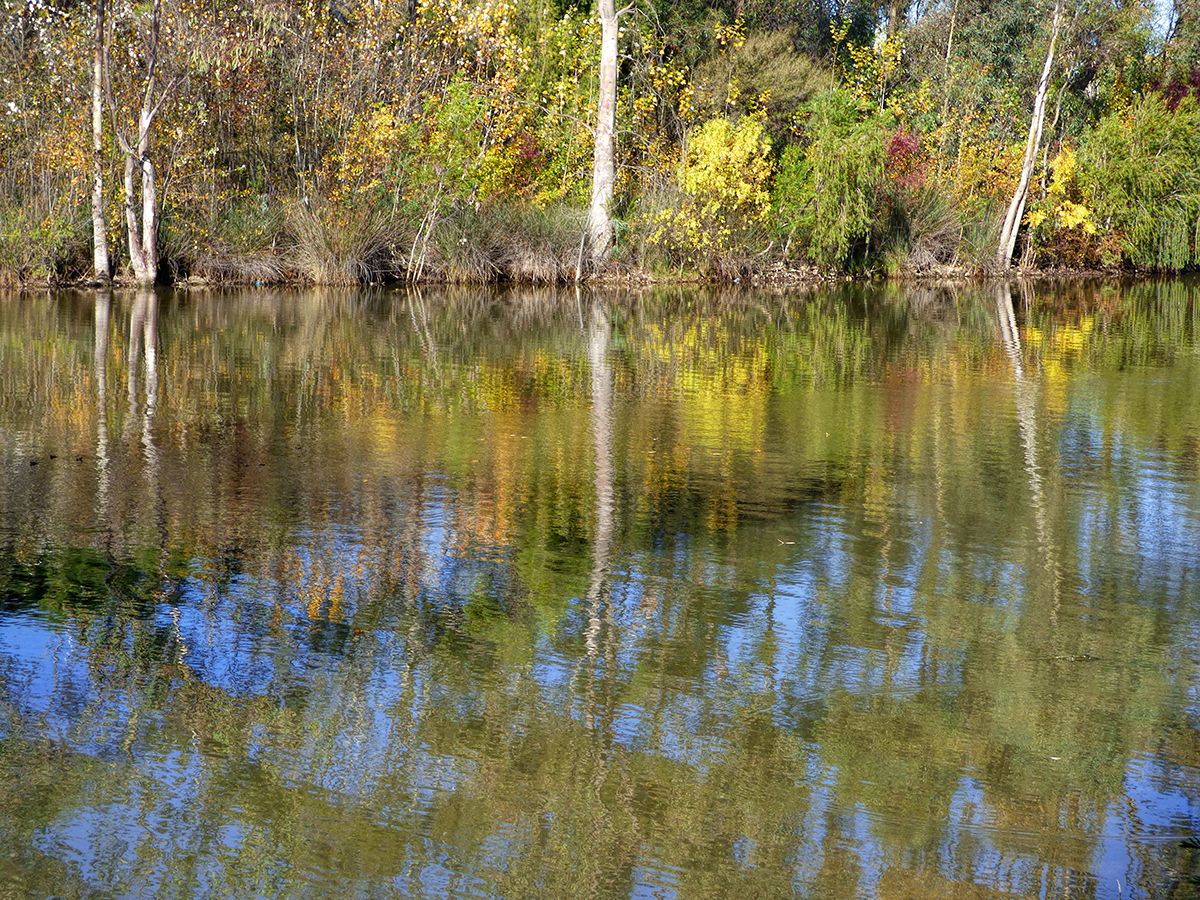 Autumn Afternoon at the Lake