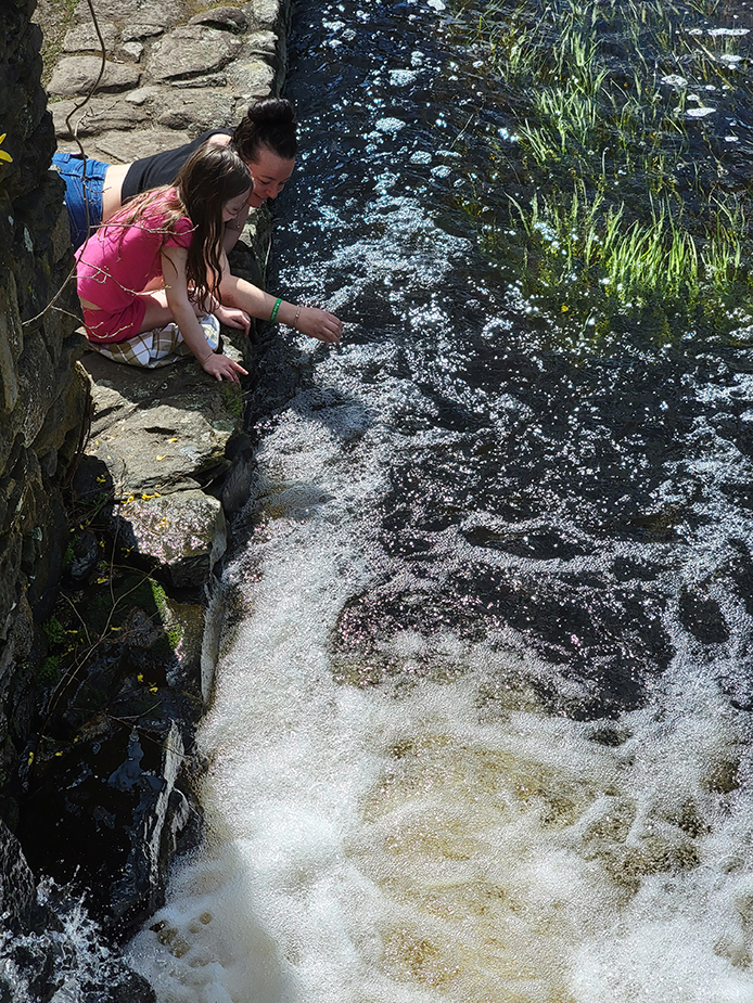 Exploring the Herring Run