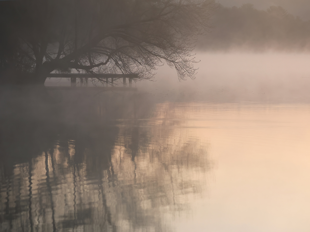 Misty morning memory