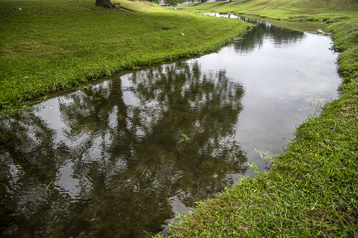after the rain