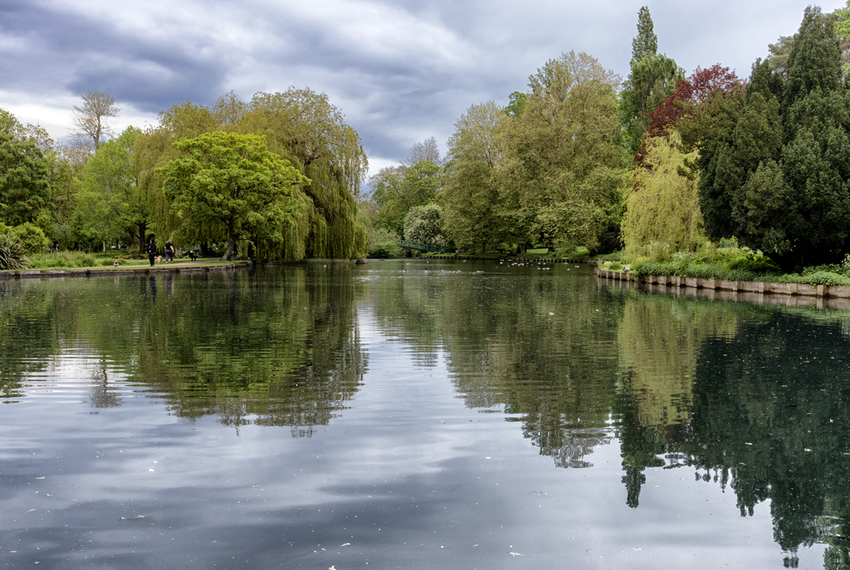 Pond in the Park